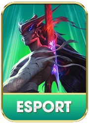 Trang Chủ 12 esport